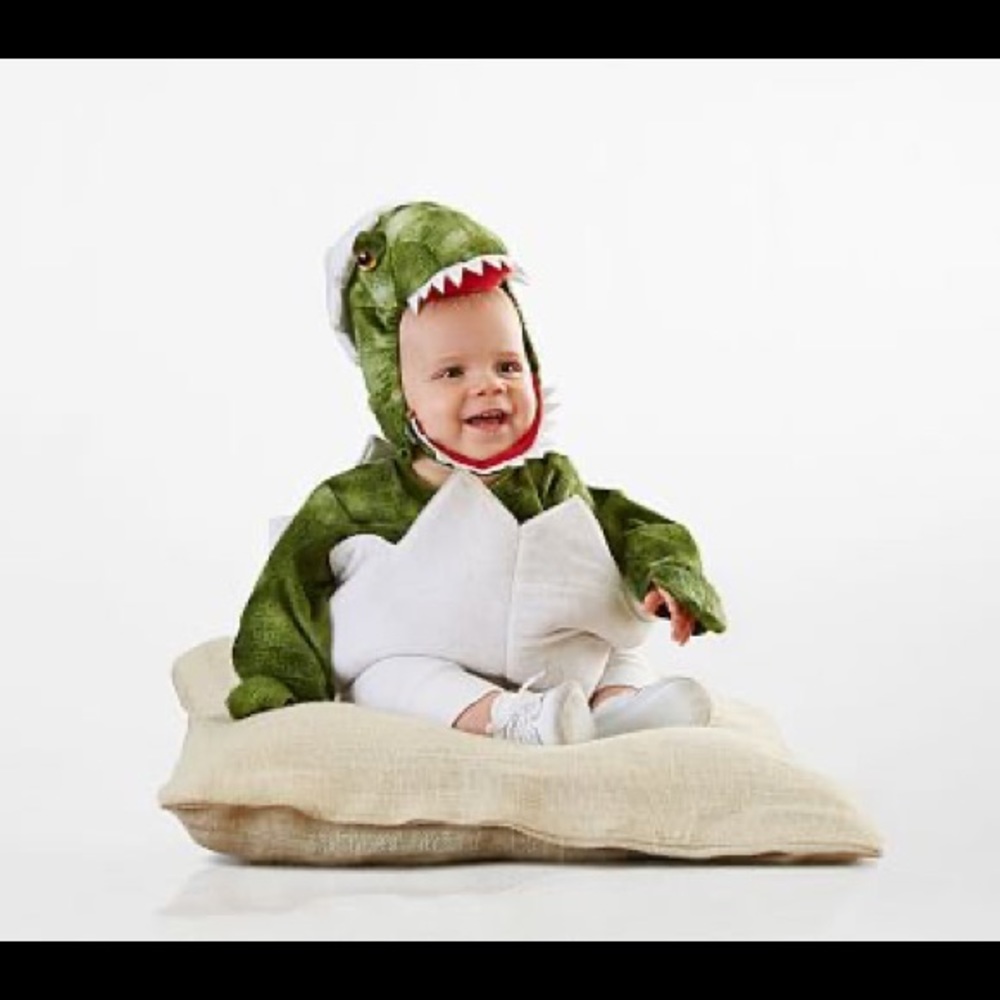 Pottery Barn Kids Dinosaur Costume